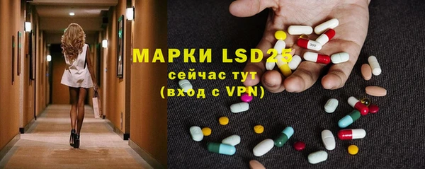 ГАЛЛЮЦИНОГЕННЫЕ ГРИБЫ Карталы