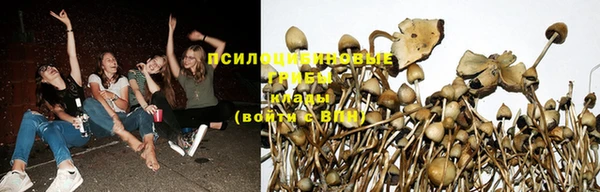 прущие крисы Алзамай