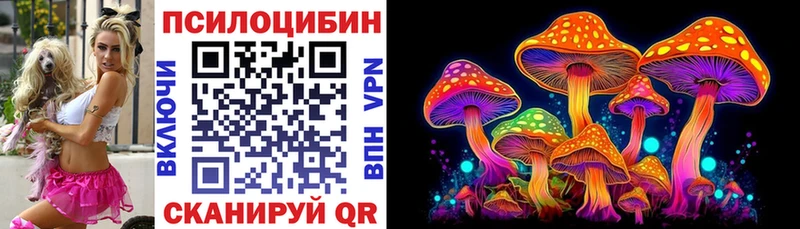 Галлюциногенные грибы GOLDEN TEACHER  наркота  Кандалакша 