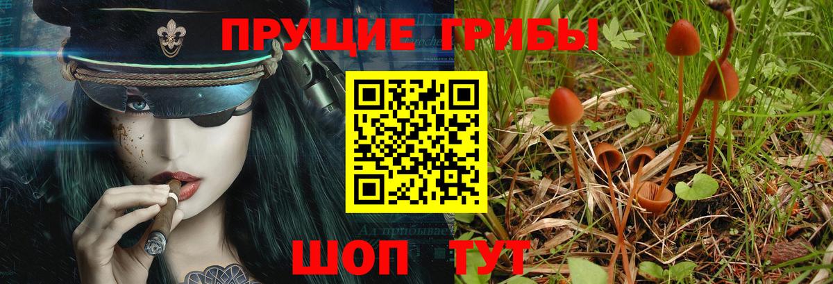 Кандалакша  Псилоцибиновые грибы ЛСД  Вход с VPN  Псилоцибиновые грибы прущие грибы 
